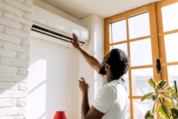 Best Local HVAC Companies  in Dano, CO